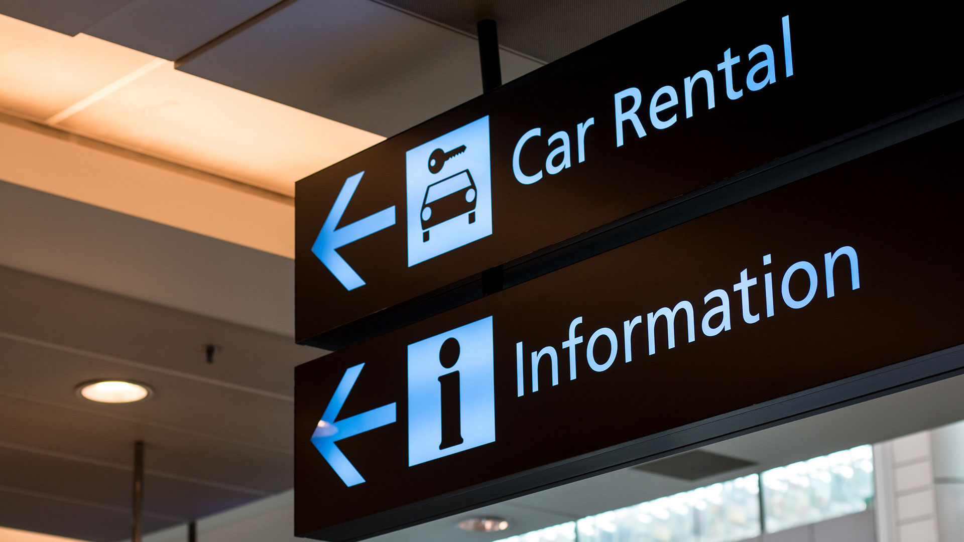 Car Rental